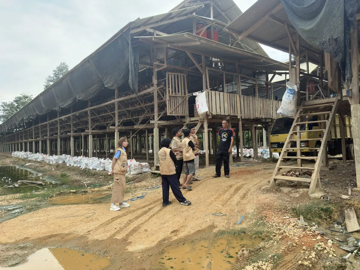 kegiatan_mencari_data_untuk_website_1_